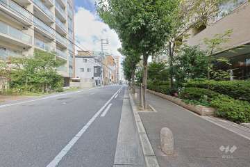 敷地西側の前面道路（南側から）