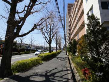 敷地の南側には植栽スペースが設けられています。