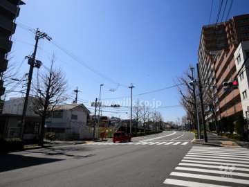 敷地の南側は街路樹が並ぶ4車線の通りに面しています。
