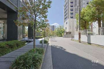 敷地西側の前面道路