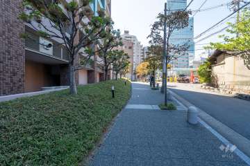 敷地西側の前面道路