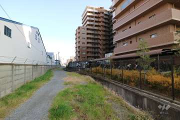 敷地北側の通路