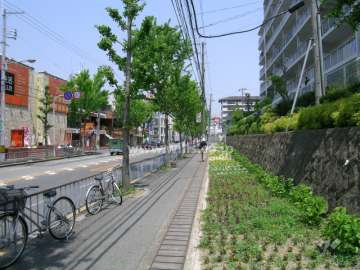 敷地の西側はロマンチック街道に面しています。