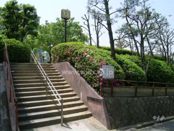 敷地の道を挟んで南側にある『西緑丘1丁目公園』