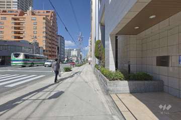 敷地の西側前面道路（南側から）