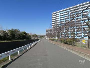 敷地西側の前面道路