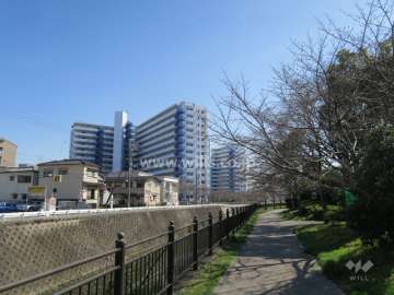 大正川沿いには遊歩道があります。