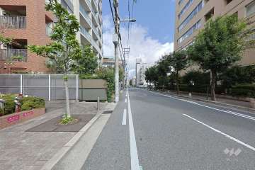 敷地の東側前面道路（南側から）