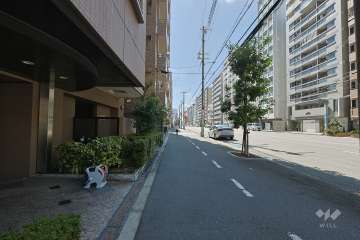 敷地の西側前面道路（北側から）