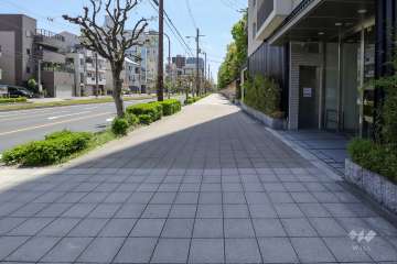 敷地東側の前面道路（北側から）