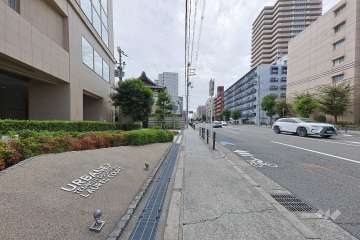 敷地の西側前面道路（北側から）