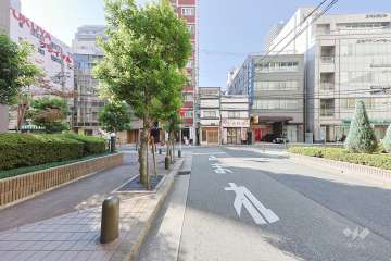 敷地西側の前面道路　