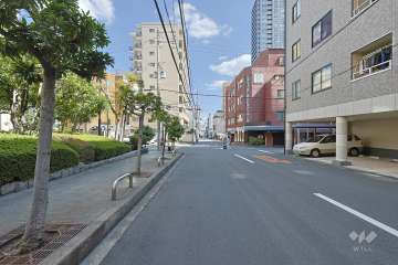 敷地の南側前面道路（西側から）