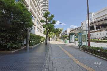 敷地の南側前面道路（西側から）