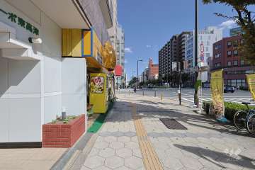 敷地の南側前面道路（西側から）