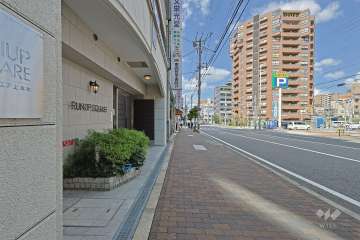 敷地の東側前面道路（南側から）