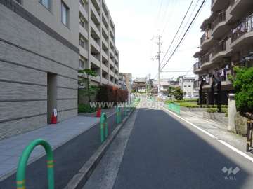 敷地東側の前面道路