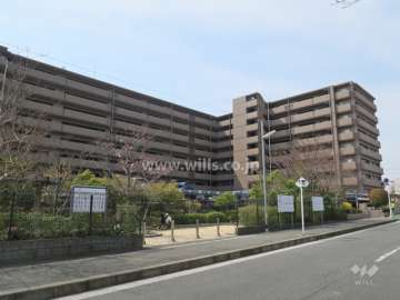 敷地北側に隣接して小さな公園があります。