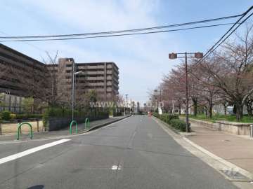 敷地北側の前面道路。道を挟んで『水尾公園』があります。
