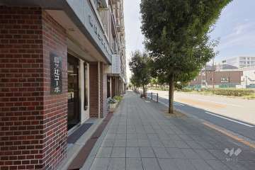 敷地の西側前面道路（北側から）