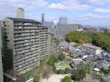 敷地の東側には竹林も残っています