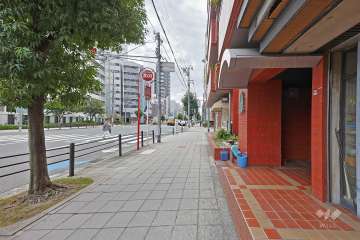 敷地東側の前面道路（北側から）
