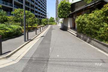 敷地東側の前面道路（南側から）