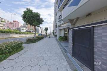 敷地北側の前面道路