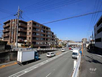 敷地南側の前面道路（二車線のバス通り）