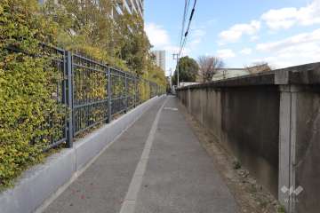 敷地南側の前面道路