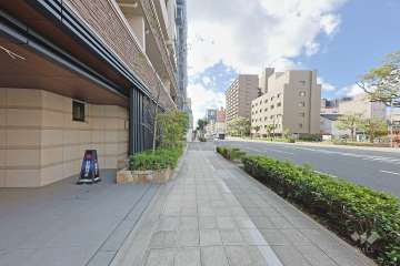 敷地西側の前面道路（北側から）