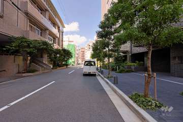 敷地西側の前面道路（南側から）