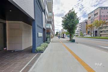 敷地西側の前面道路（北側から）