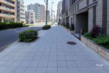 敷地北側の前面道路（西側から）