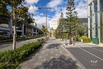 敷地西側の前面道路　