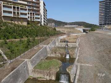 敷地東側は川に面しています。
