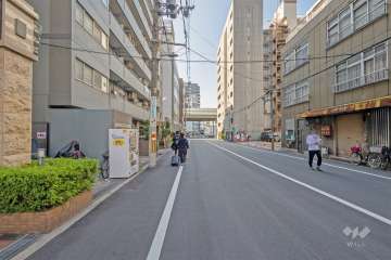 敷地の西側前面道路（北側から）