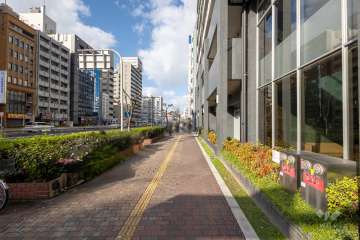 敷地東側の前面道路　