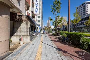 敷地東側の前面道路　
