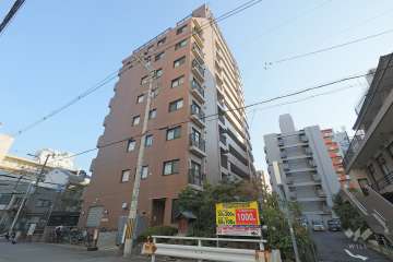 ロイヤルシティ難波の外観（北西側から）　
