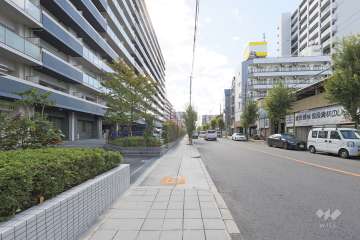 敷地西側の前面道路　
