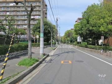 敷地西側の前面道路