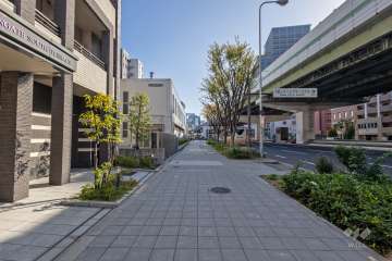 敷地南側の前面道路（西側から）