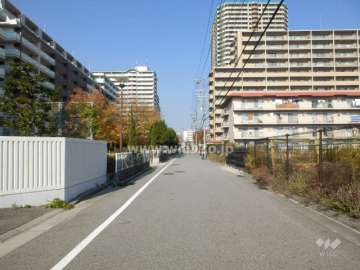 敷地東側の前面道路