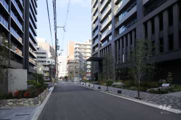 敷地西側の前面道路