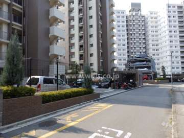 敷地南側前面道路(東側から)