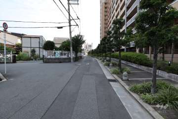敷地東側の前面道路（北側から）