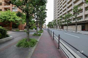 敷地西側の前面道路（北側から）
