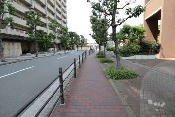 敷地西側の前面道路（南側から）