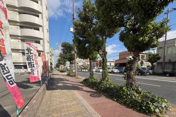 敷地東側の前面道路（南側から）